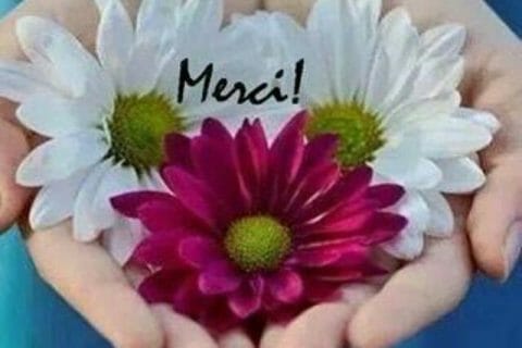 Cliquez pour zoomer ! Photo de 🦕VéroFripouille🦖 Thermomix par 🦕VéroFripouille🦖