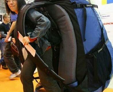 Cliquez pour zoomer ! Photo de 🦕VéroFripouille🦖