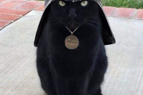 Cliquez pour zoomer ! Photo de 🦕VéroFripouille🦖