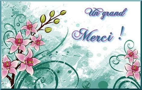 Cliquez pour zoomer ! Photo de 🦕VéroFripouille🦖