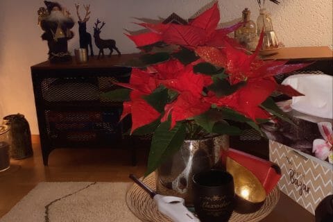 Cliquez pour zoomer ! Carrés au citron Thermomix par raquel_5