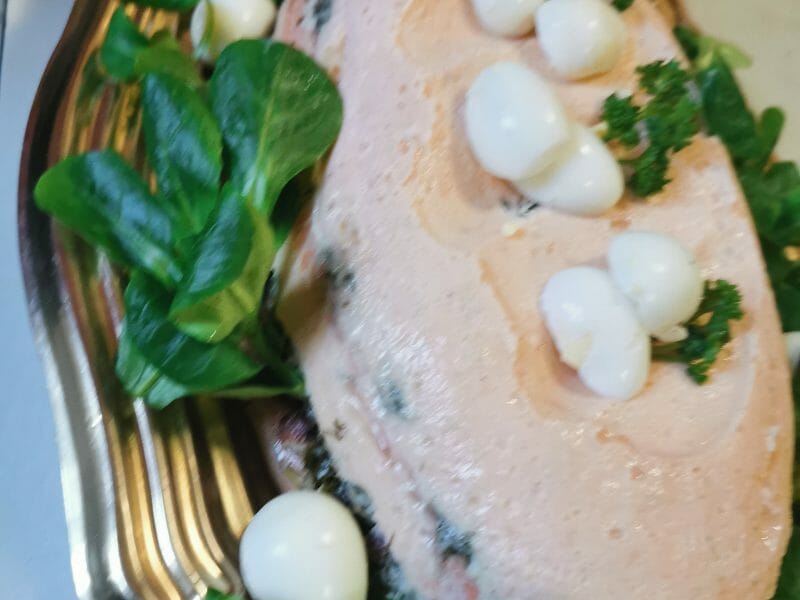 Cliquez pour zoomer ! Terrine de saumon frais et fumé Thermomix par sve60