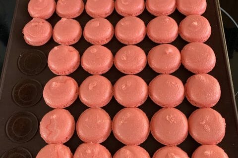 Cliquez pour zoomer ! Macarons Thermomix par tamogen