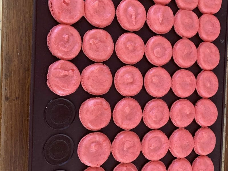 Cliquez pour zoomer ! Macarons Thermomix par tamogen