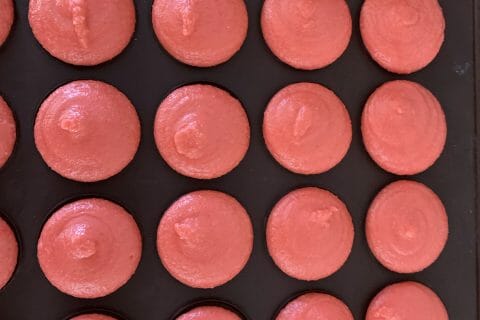 Cliquez pour zoomer ! Macarons Thermomix par tamogen
