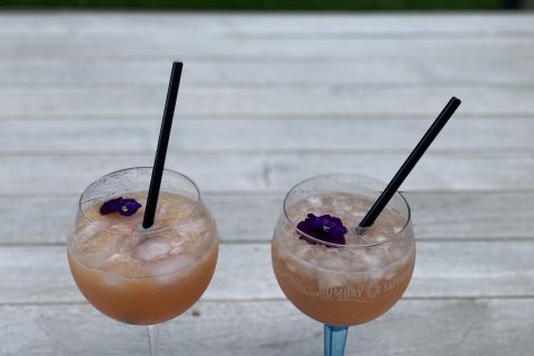 Cliquez pour zoomer ! Le chose – Granité tonic de pamplemousse Thermomix par benedicteve