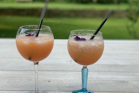 Cliquez pour zoomer ! Le chose – Granité tonic de pamplemousse Thermomix par benedicteve