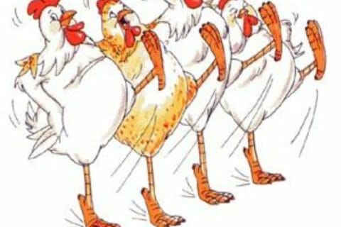 Cliquez pour zoomer ! Photo de poppy25