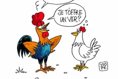 Cliquez pour zoomer ! Photo de poppy25