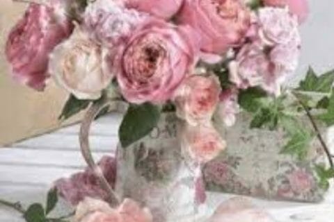 Cliquez pour zoomer ! Photo de poppy25