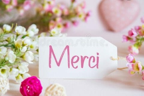 Cliquez pour zoomer ! Photo de poppy25