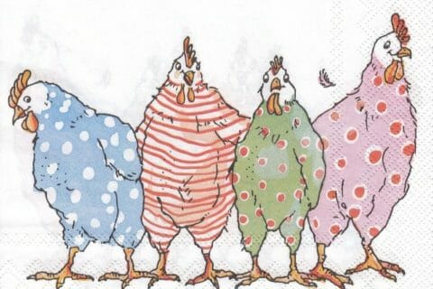 Cliquez pour zoomer ! Photo de poppy25