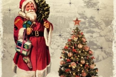 Cliquez pour zoomer ! Photo de cflo68🐞