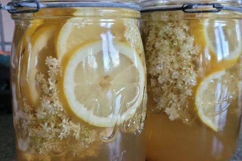 Cliquez pour zoomer ! Photo de cflo68🐞 Thermomix par cflo68🐞