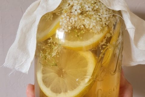 Cliquez pour zoomer ! Photo de cflo68🐞 Thermomix par cflo68🐞