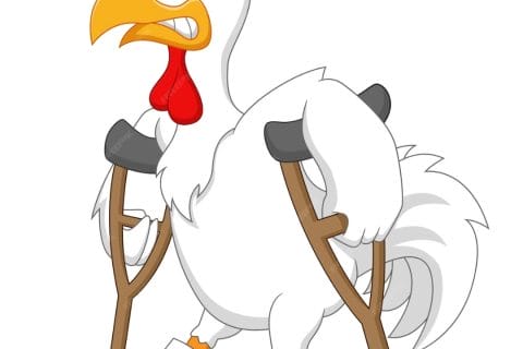 Cliquez pour zoomer ! Photo de cflo68🐞