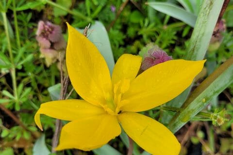 Cliquez pour zoomer ! Photo de cflo68