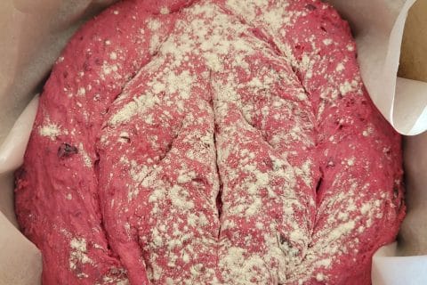 Photos des recettes