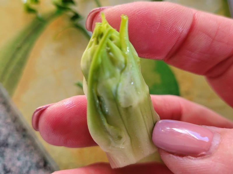 Cliquez pour zoomer ! Risotto à la puntarelle et au saumon fumé Thermomix par cflo68🐞