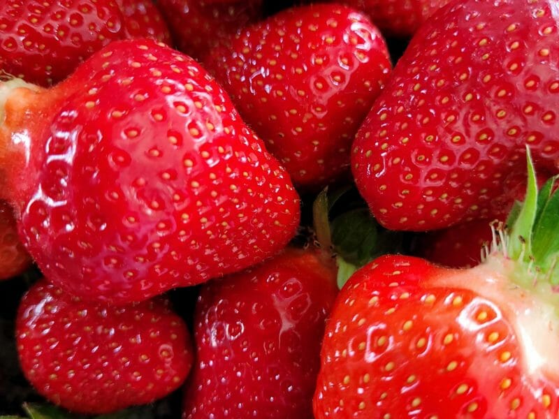 Cliquez pour zoomer ! Bavarois aux fraises Thermomix par cflo68🐞