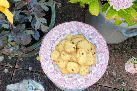 Cliquez pour zoomer ! Zaeti – sablés vénitiens Thermomix par cflo68🐞