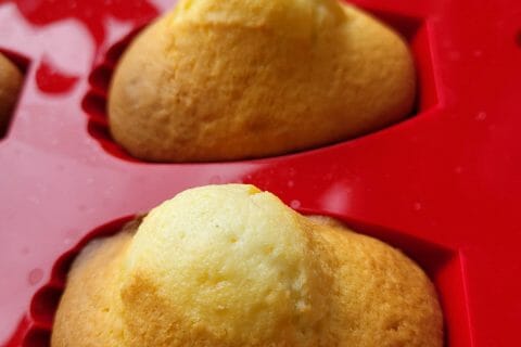 Cliquez pour zoomer ! Madeleines Thermomix par cflo68🐞