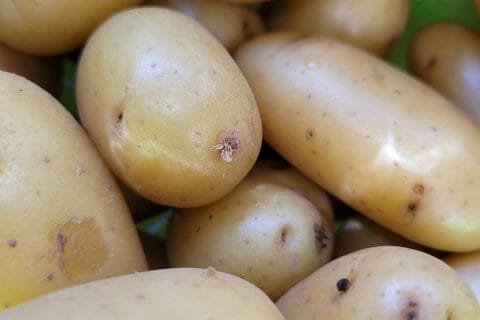 Cliquez pour zoomer ! Smashed potatoes Thermomix par cflo68🐞