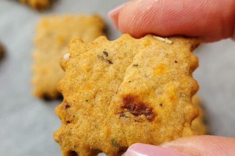 Cliquez pour zoomer ! Canistrelli salés à la châtaigne et aux herbes Thermomix par cflo68🐞