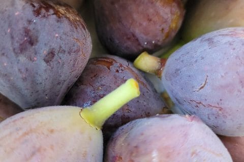 Cliquez pour zoomer ! Confiture de figues Thermomix par cflo68🐞