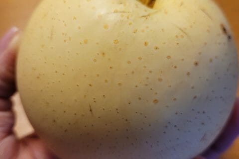 Cliquez pour zoomer ! Dwaeji Bulgogi – Porc épicé à la coréenne Thermomix par cflo68🐞