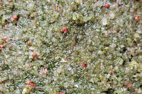 Cliquez pour zoomer ! Saumon gravlax Thermomix par cflo68🐞