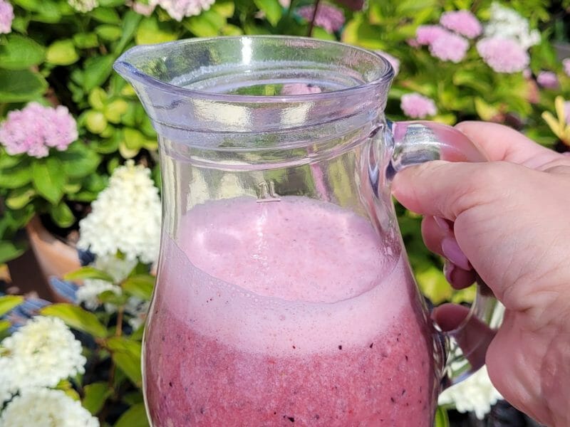 Cliquez pour zoomer ! Smoothie fruits rouges et banane Thermomix par cflo68🐞