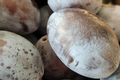 Cliquez pour zoomer ! Crumb cake aux prunes Thermomix par cflo68🐞