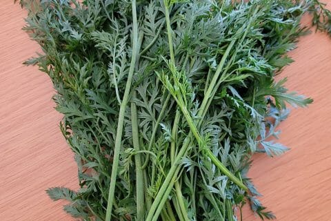 Cliquez pour zoomer ! Pesto aux fanes de radis Thermomix par cflo68🐞