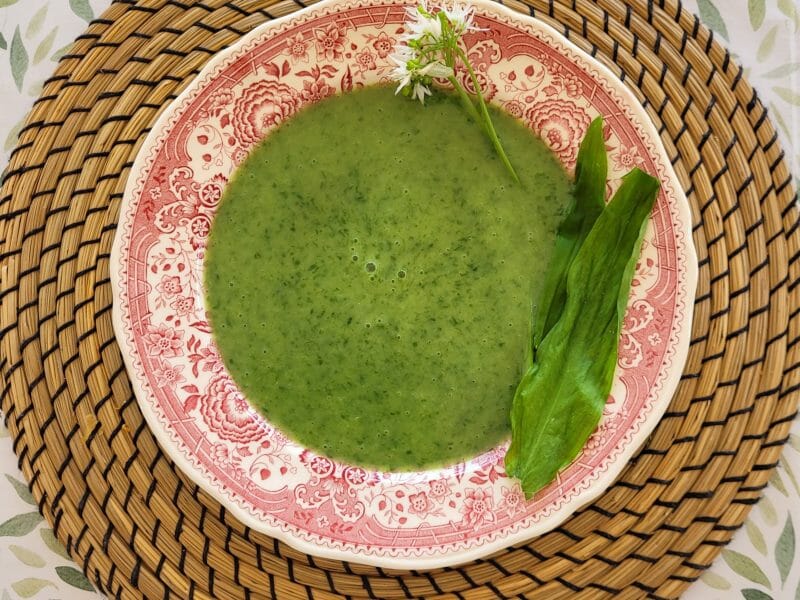 Cliquez pour zoomer ! Velouté à l’ail des ours Thermomix par cflo68🐞