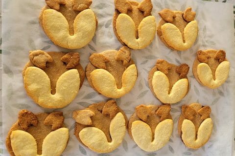 Cliquez pour zoomer ! Sablés rennes de Noël Thermomix par cflo68🐞