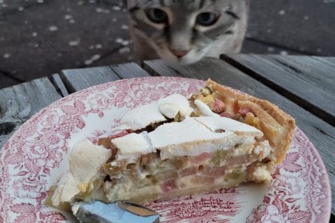 Cliquez pour zoomer ! Tarte à la rhubarbe Thermomix par cflo68🐞