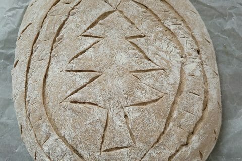 Cliquez pour zoomer ! Saumon gravlax Thermomix par cflo68🐞