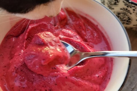Cliquez pour zoomer ! Sorbet aux cerises Thermomix par cflo68🐞