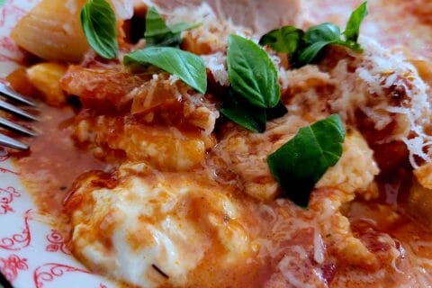 Cliquez pour zoomer ! Gratin de fenouil à l’italienne Thermomix par cflo68🐞