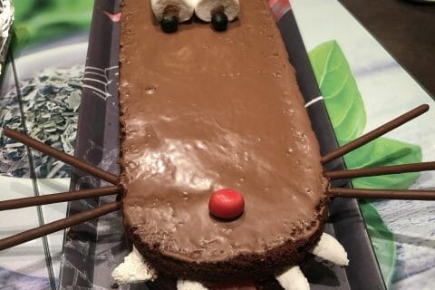 Cliquez pour zoomer ! Photo de mamdo