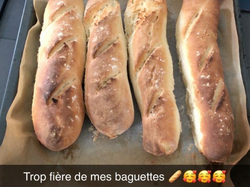 Cliquez pour zoomer ! Baguettes Thermomix par sosso-l
