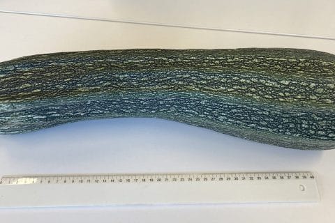 Cliquez pour zoomer ! Photo de soniamanga