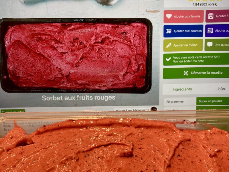 Cliquez pour zoomer ! Sorbet aux fruits rouges Thermomix par soniamanga