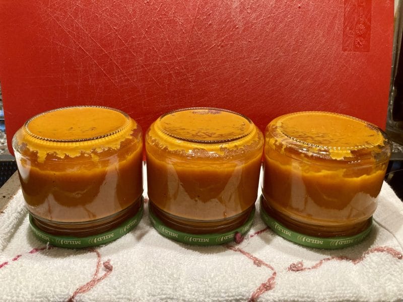 Cliquez pour zoomer ! Ketchup Thermomix par soniamanga