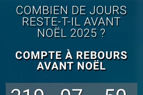 Cliquez pour zoomer ! Panettone Thermomix par soniamanga