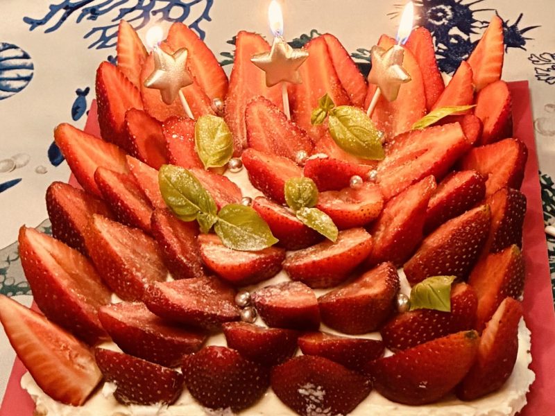 Cliquez pour zoomer ! Tarte aux fraises sans cuisson Thermomix par soniamanga