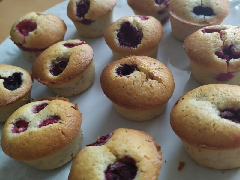 Cliquez pour zoomer ! Visitandines aux framboises Thermomix par est-elle_68