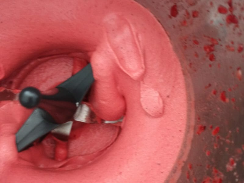 Cliquez pour zoomer ! Sorbet aux fruits rouges Thermomix par mllexpamela