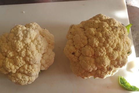 Cliquez pour zoomer ! Photo de aurely79 Thermomix par aurely79